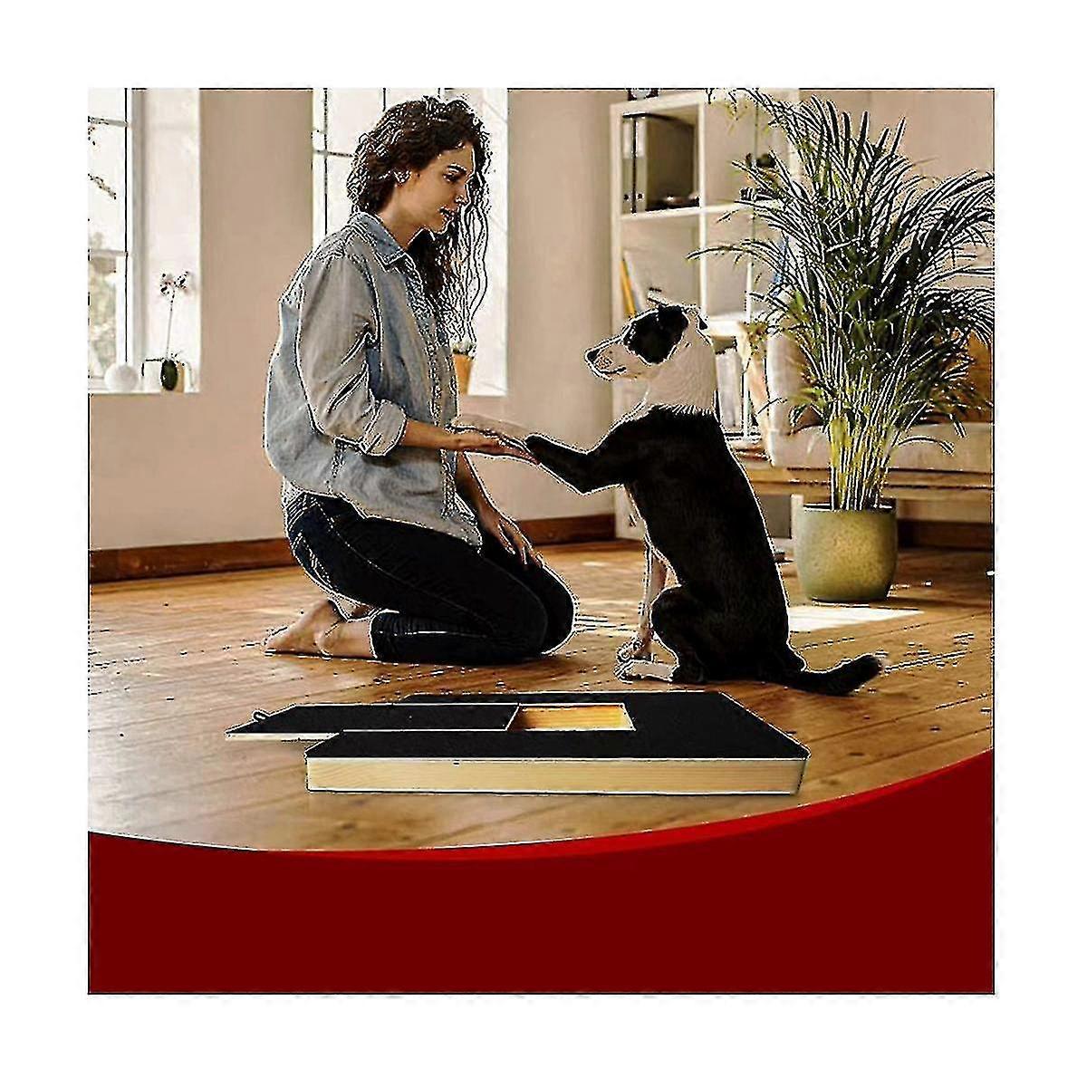 Dog Claw Training Board - File Trimmer Board, Trimming Board, Scratching Box, Sandpaper, Filing, Scraping - Image 3
