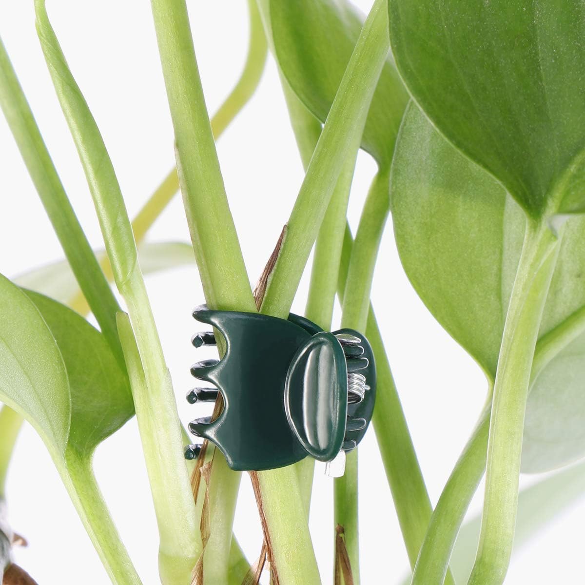 100pcs Orchid Clamps, Garden Plant Clamps for Supporting Orchid Plants - Image 5