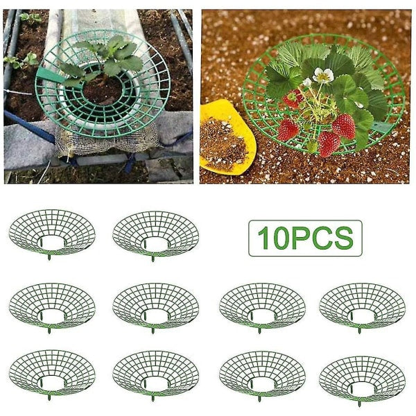 Strawberry Plant Support Cages, 10 pcs Climbing Rack Frame Holder for Balcony Garden Planting, Fruit Support - Image 3