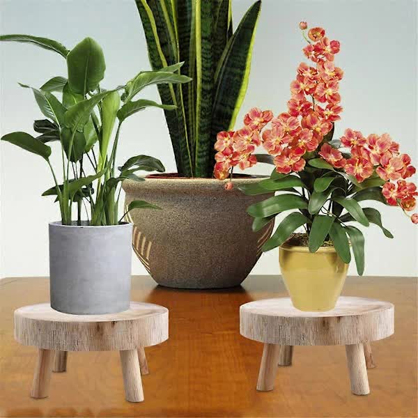 Wooden Plant Stand Bonsai Display Holder Indoor Outdoor Garden Decor - Image 4