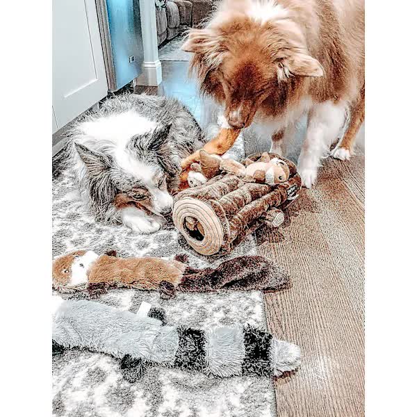 Dog Toys with Squeak and Rattles 3-Pack Plush Chew Toys for Large Medium Dogs - Image 2