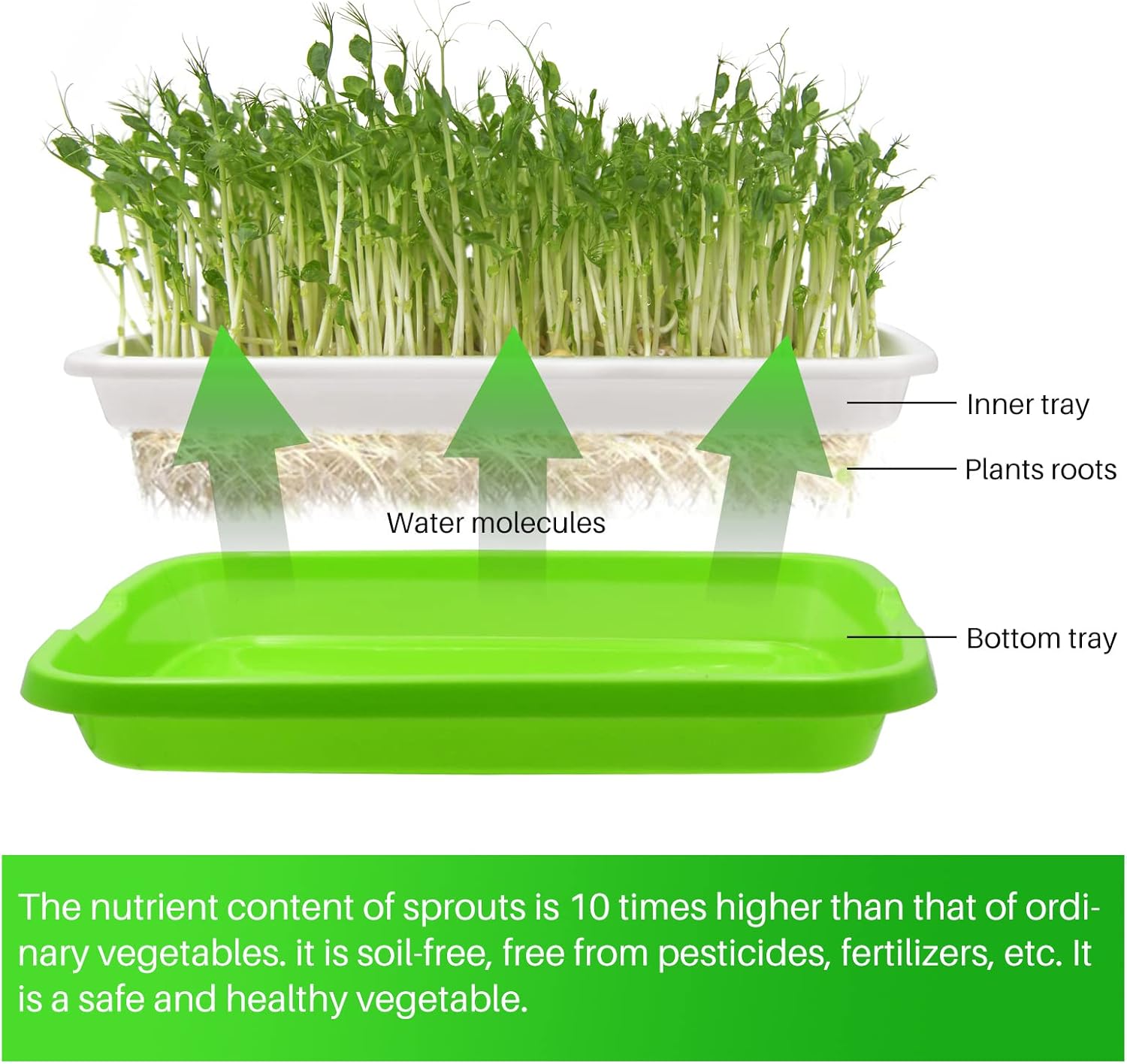 8-Pack Seed Sprouter Tray Microgreens Growing Trays BPA Free Seed Germination Propagation Soil-Free Wheatgrass Bean Nursery Tray with Planting Paper for Indoors or Outdoors - Image 3