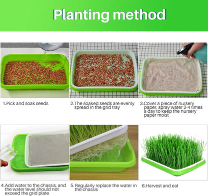 8-Pack Seed Sprouter Tray Microgreens Growing Trays BPA Free Seed Germination Propagation Soil-Free Wheatgrass Bean Nursery Tray with Planting Paper for Indoors or Outdoors - Image 4