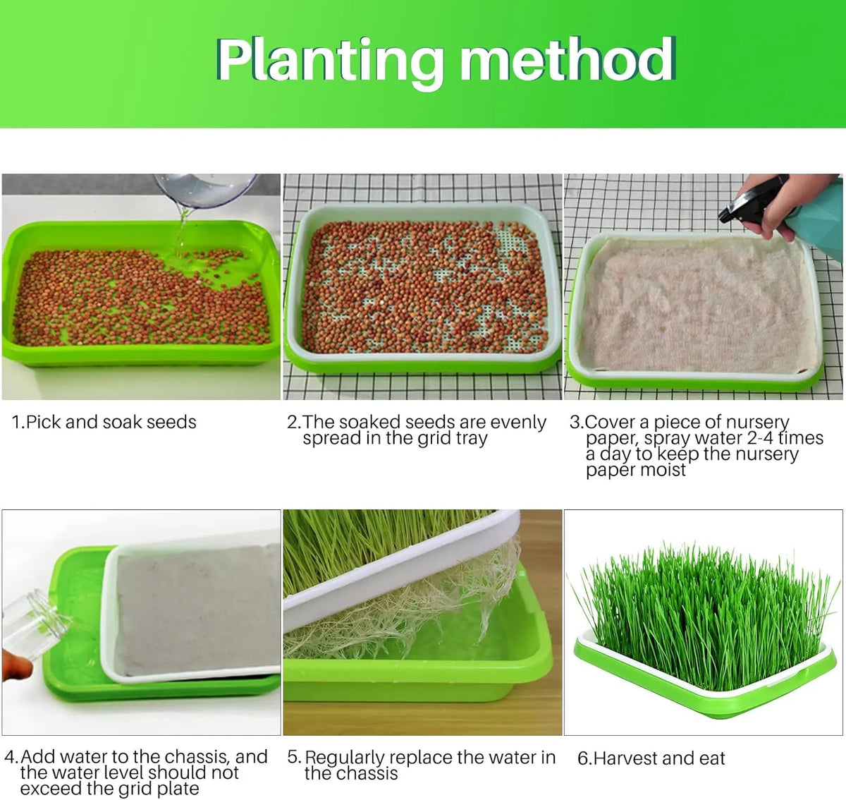 8-Pack Seed Sprouter Tray Microgreens Growing Trays BPA Free Seed Germination Propagation Soil-Free Wheatgrass Bean Nursery Tray with Planting Paper for Indoors or Outdoors - Image 4