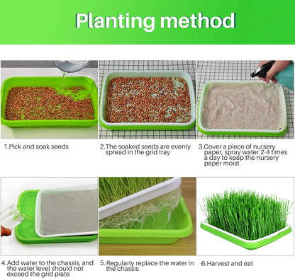8-Pack Seed Sprouter Tray Microgreens Growing Trays BPA Free Seed Germination Propagation Soil-Free Wheatgrass Bean Nursery Tray with Planting Paper for Indoors or Outdoors - Image 4
