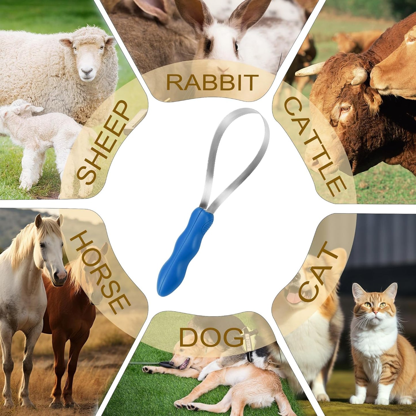 Dual-Sided Shedding Blade Dogs Hair Brush - Stainless Steel Grooming Horse Tool with No-slip Grip - Fine Teeth for Long, Short - Image 4