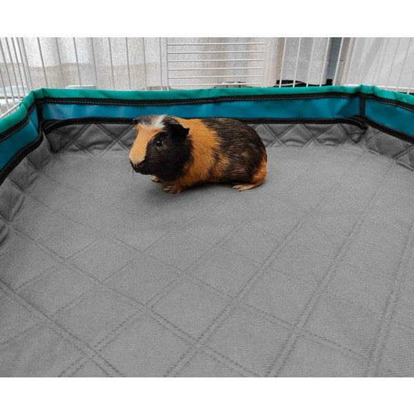 Burmat Guinea pig 60x120 cm 2-pack GINISWEETY - Image 2