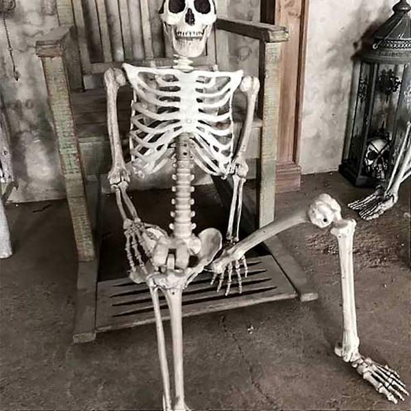 Halloween Skeleton Life Size, Full Body with Movable Joints, Human Legs, Scary Halloween Skeleton Decoration for Halloween Party, Haunted House Accessories - Image 3