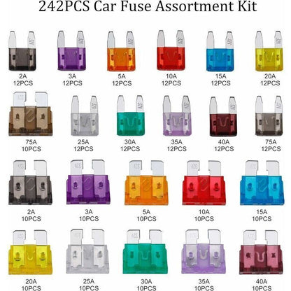 Car Fuse Auto Mini Fuses Assorted Kit 2A 3A 5A 7.5A 10A 15A 20A 25A 30A 35A 40A with Clip Storage Box 242 pcs, by DEBUNS - Image 3