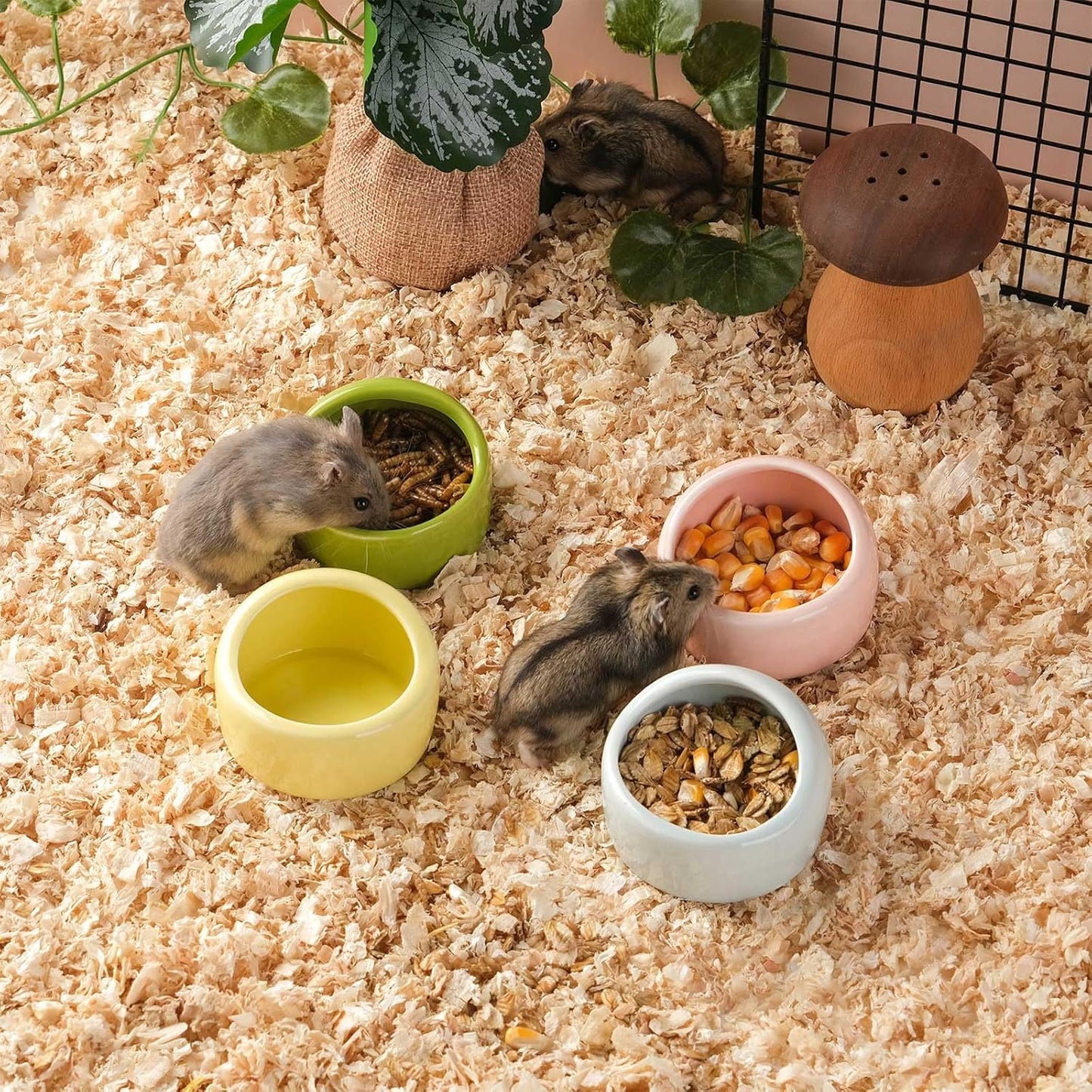 4 Pack Small Hamster Food Bowl Ceramic Guinea Pig Food Dish No Spill Hamster Food and Water Bowl Small Animal Food Bowl for Chinchilla Hedgehog Hamster Gerbil - Pink Blue Yellow and Green - Image 3