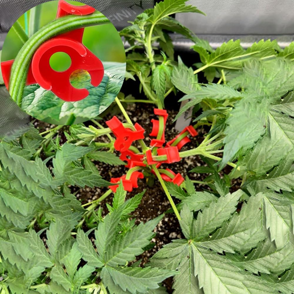 40 Pcs Low Stress Training Clips, 90 Degrees Plant Trainer Bud Plant Bender Plant Training Clips Bud Bender for Plant Gardening - White and Red - Image 4