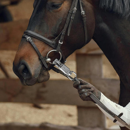 Ackron Panic Snap，Quick Release U-Type Snap Quick Release Clip Suitable for Lead Ropes Tie Offs Rotatable Eye Quick Release Buckle Clips Animals Riding Accessories 2 Piece - Image 4