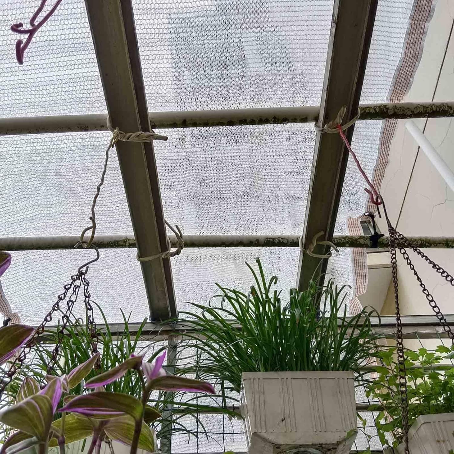YAEGER White Shade Cloth 55% Garden Shade Net for Greenhouse Plants 10x10ft 10x20ft 13x23ft Outdoor Shade Garden Sun Shade Mesh Screen Cover for Patio Balcony Chicken Coops(10x10ft) - Image 3
