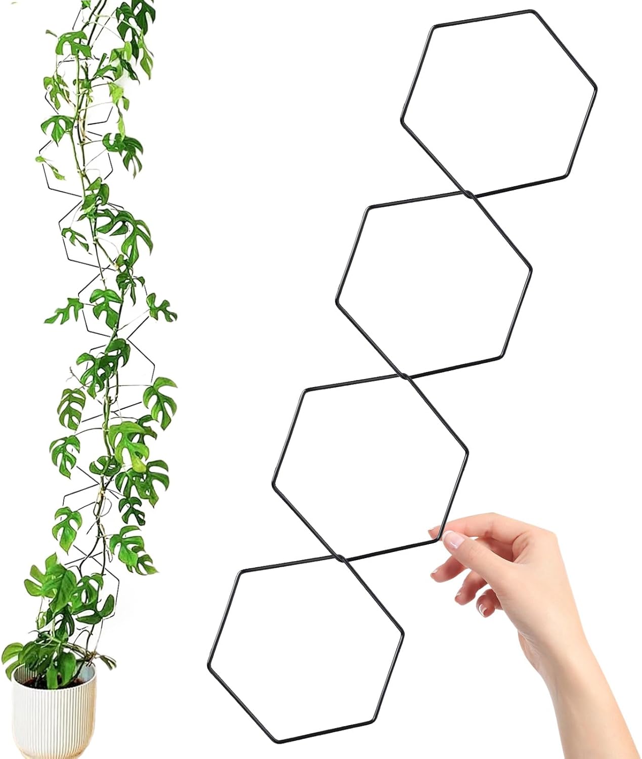 10/18 Pcs Metal Chain Trellis for Climbing Plants with Wall Hooks Wall Hanging Trellis Plant Vine Support for Indoor Outdoor Garden Pothos Ivy (90in) - Image 2