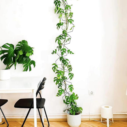 10/18 Pcs Metal Chain Trellis for Climbing Plants with Wall Hooks Wall Hanging Trellis Plant Vine Support for Indoor Outdoor Garden Pothos Ivy (90in) - Image 4