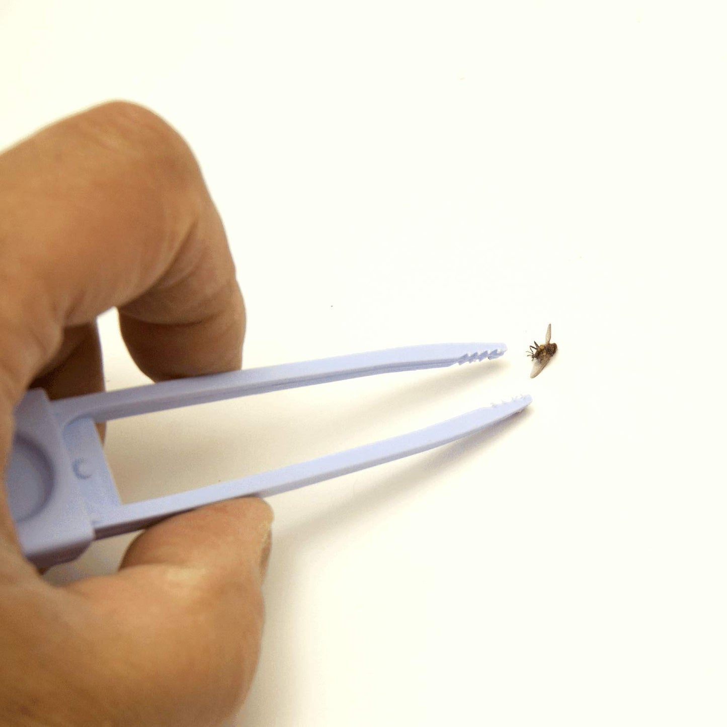 Plastic Fly Swatter with Tweezers, Bugs Whisk and Fly Killer with Pincers (3) - Image 4