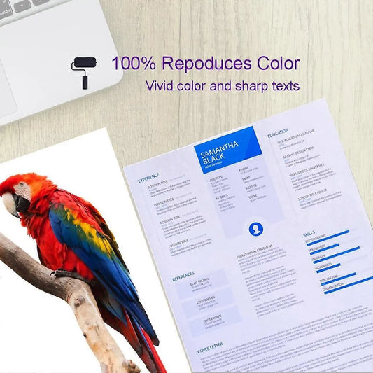 XP-2200 XP-2205 Compatible 604XL Ink Cartridge for Expression Home Printer High Yield Vivid Colors - Image 4