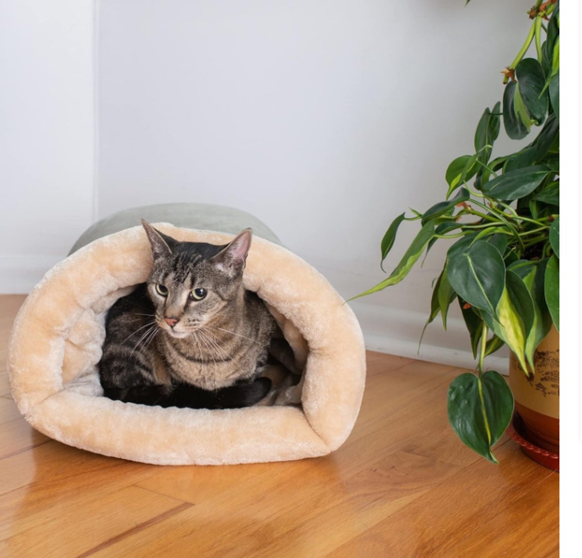 Cat Bed - Cat Basket - Winter Warm - Pet Basket - Autumn/Winter Dog Bed - Pet Cat - Puppy - Cat Bed - Warm - 65*48cm - Image 2