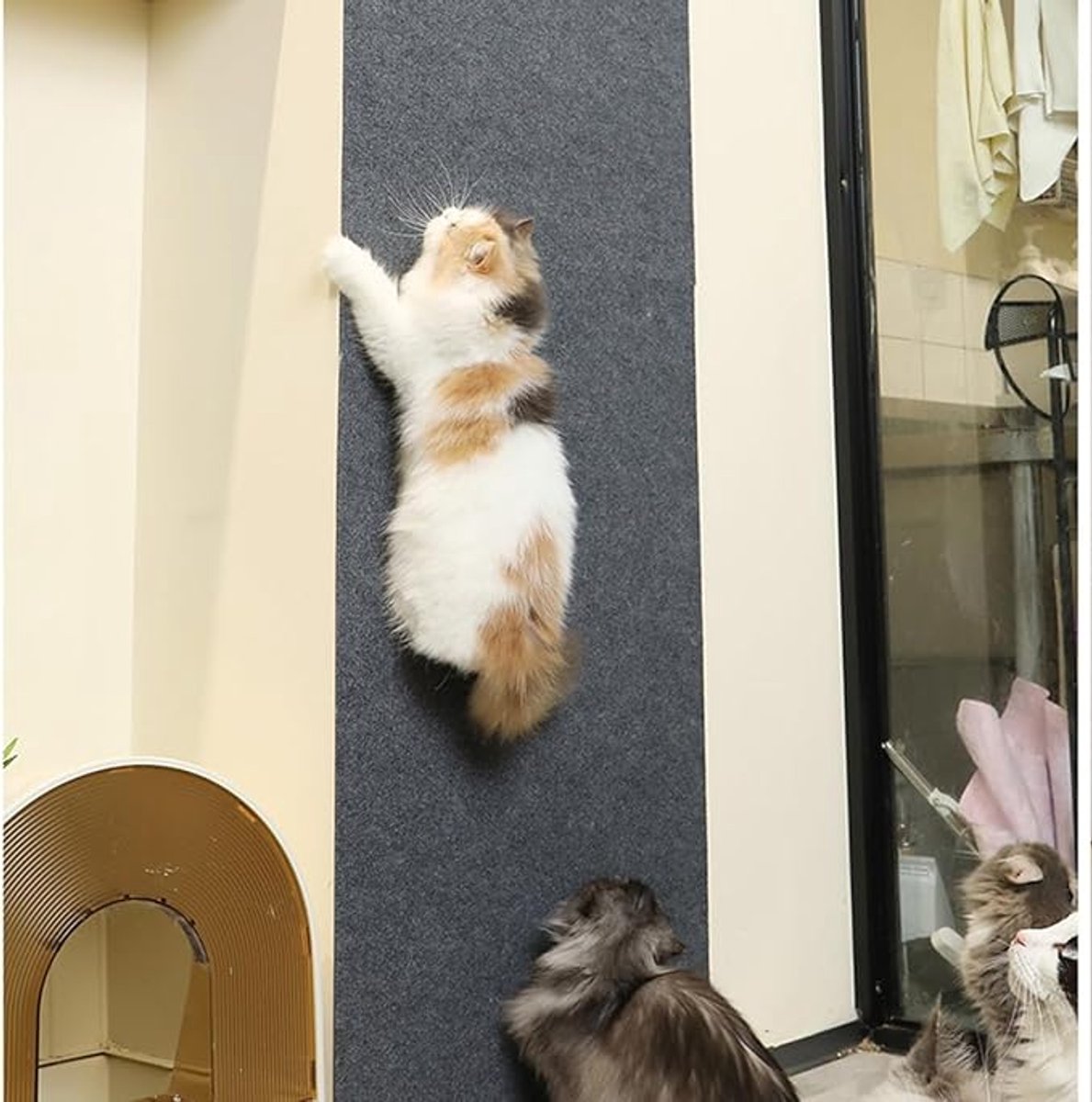 Premium Cat Scratching Mat - Couch Cushions - Strong adhesion, for ultimate fun for your cat - Protects your furniture, lets your cat have fun (Dimensions: 30x30 cm, Off-white, Pack of 2) - Image 4