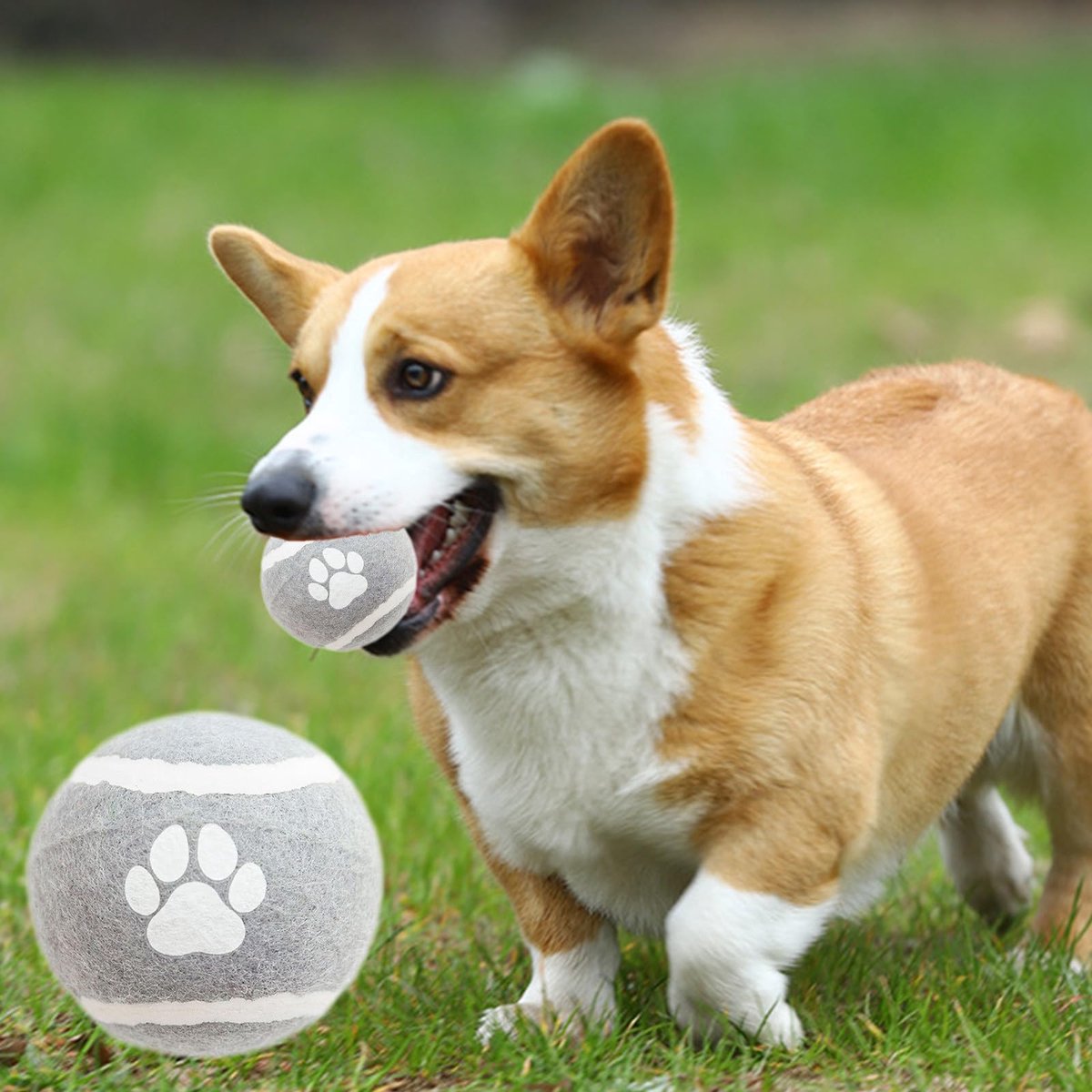 Dog Toys - 3-pack - Dog Puzzle - Interactive - sturdy elastic felt dog balls for retrieving - interactive dog toy - Image 7