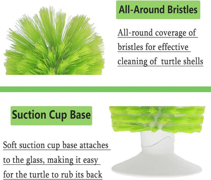 Turtle Shell Brush - Turtle Shell Brush - Turtle Shell Exfoliating Brush - With Suction Cup - Turtle Shell Cleaning Brush - Image 2