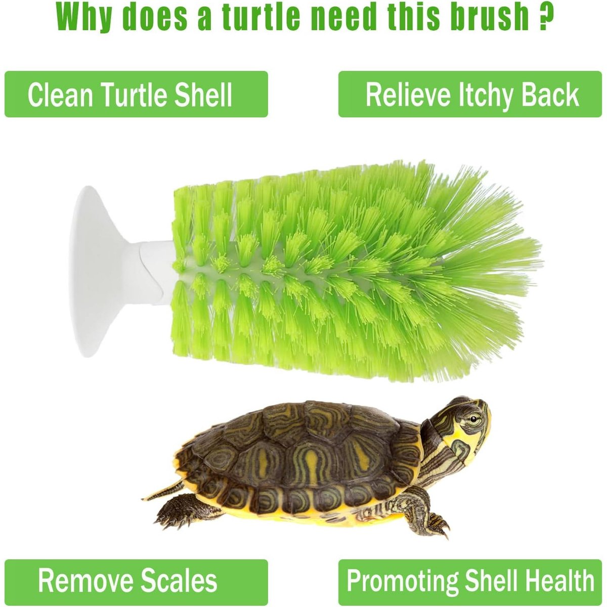 Turtle Shell Brush - Turtle Shell Brush - Turtle Shell Exfoliating Brush - With Suction Cup - Turtle Shell Cleaning Brush - Image 3