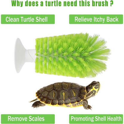 Turtle Shell Brush - Turtle Shell Brush - Turtle Shell Exfoliating Brush - With Suction Cup - Turtle Shell Cleaning Brush - Image 3