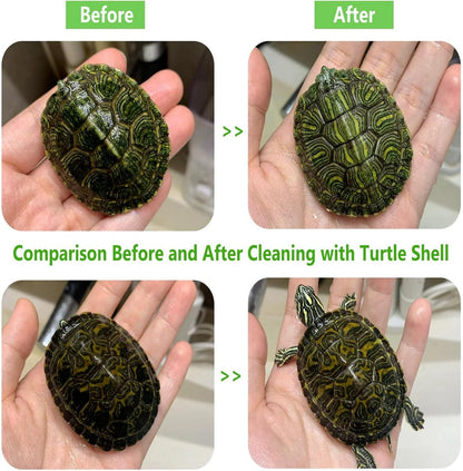 Turtle Shell Brush - Turtle Shell Brush - Turtle Shell Exfoliating Brush - With Suction Cup - Turtle Shell Cleaning Brush - Image 4