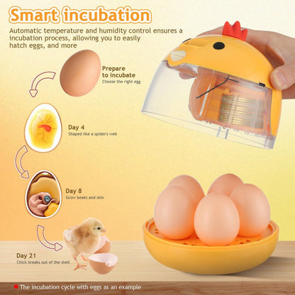 Incubator - Egg incubator | Incubator with a capacity of 4 eggs - with automatic temperature and humidity control - suitable for hatching eggs of chickens, ducks, geese, quails, parrots and other poultry - Image 4