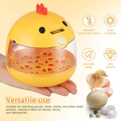 Incubator - Egg incubator | Incubator with a capacity of 4 eggs - with automatic temperature and humidity control - suitable for hatching eggs of chickens, ducks, geese, quails, parrots and other poultry - Image 6