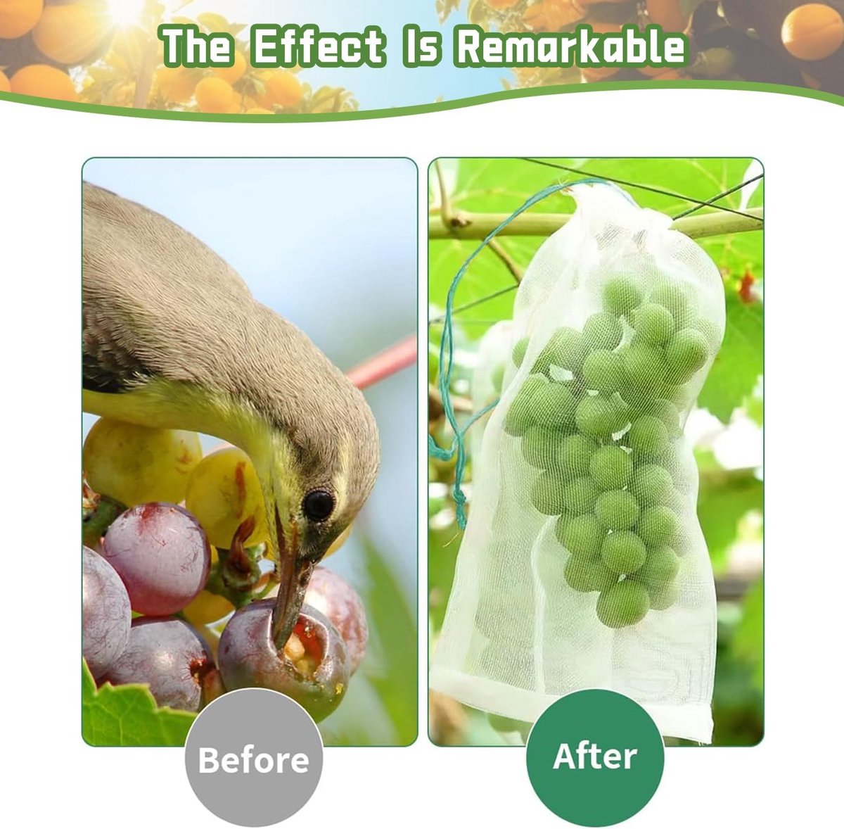 Garden Tools - 20 Items - Fruit Protection Bags - White Fruit Protection Bags with Drawstring - Garden Net Bags - Suitable for Grapes - Prevent Wasps, Cherry Vinegar Flies and Other Insects from Eating Them - Image 6
