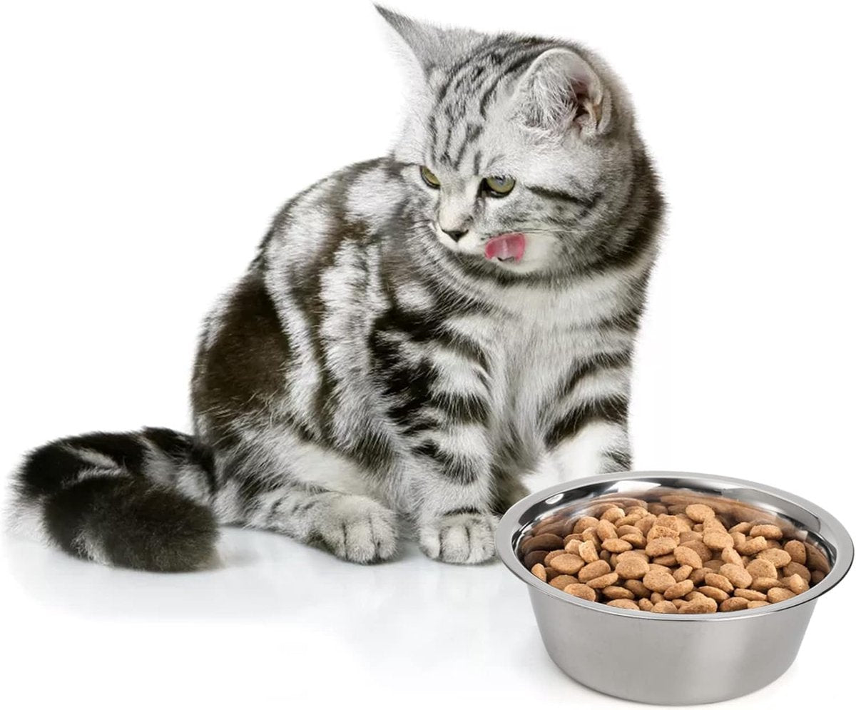 4-Pack Stainless Steel Food and Water Bowls for Cats and Dogs - Pet Food and Water Bowls - Pet Bowls - For Large, Medium, and Small Dogs - Kitten Bowls - Puppy Bowls - Image 3