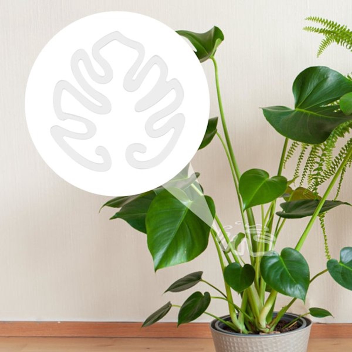 Plant Stands - Acrylic Plant Stands for Indoor and Outdoor Use - 20 Pieces - Image 3