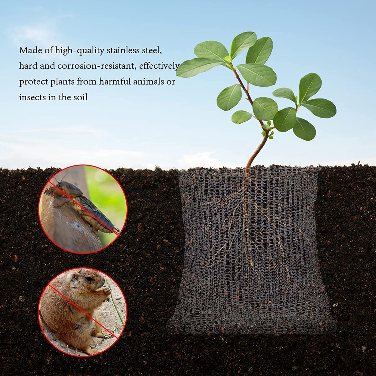 Garden Tools - 3-Piece Root Protection Baskets - Gopher-Resistant Stainless Steel Wire Basket Barriers - Keep Burrowing Animals, Pests, Voles, Moles, and More Out - 24 x 24 Inches - Image 2