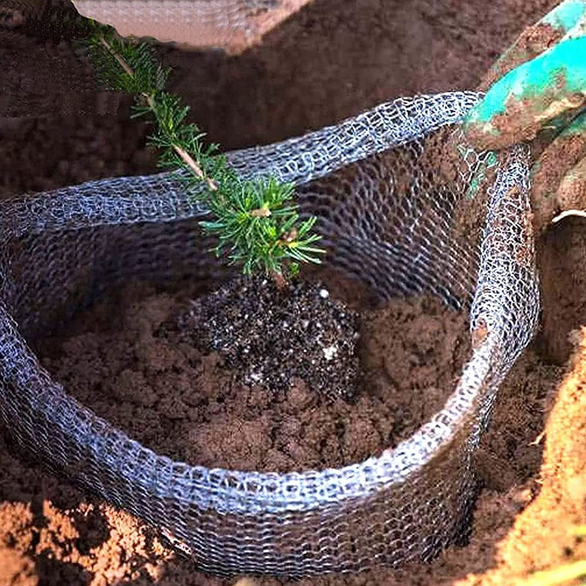 Garden Tools - 3-Piece Root Protection Baskets - Gopher-Resistant Stainless Steel Wire Basket Barriers - Keep Burrowing Animals, Pests, Voles, Moles, and More Out - 24 x 24 Inches - Image 3