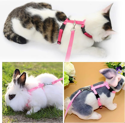 Cat Harnesses & Leashes - Cat Harnesses with Leashes - Anti-Escape Cat Leash Sets - Adjustable Soft Kitten Vests - Kitten Harnesses - For Kittens and Puppies - Image 3