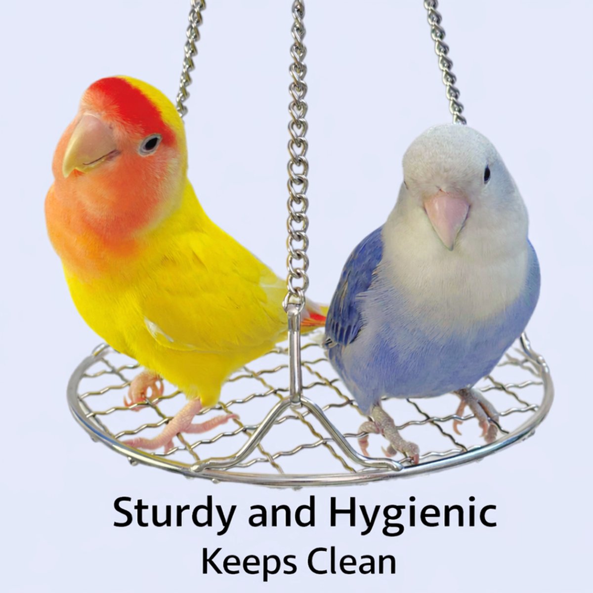 Stainless Steel Bird Toys - Small Pet Toys - Hanging Bird Cage Accessories - Suitable for Various Birds - For Balance Training of Small Parrots, Hamsters, etc. - Image 2