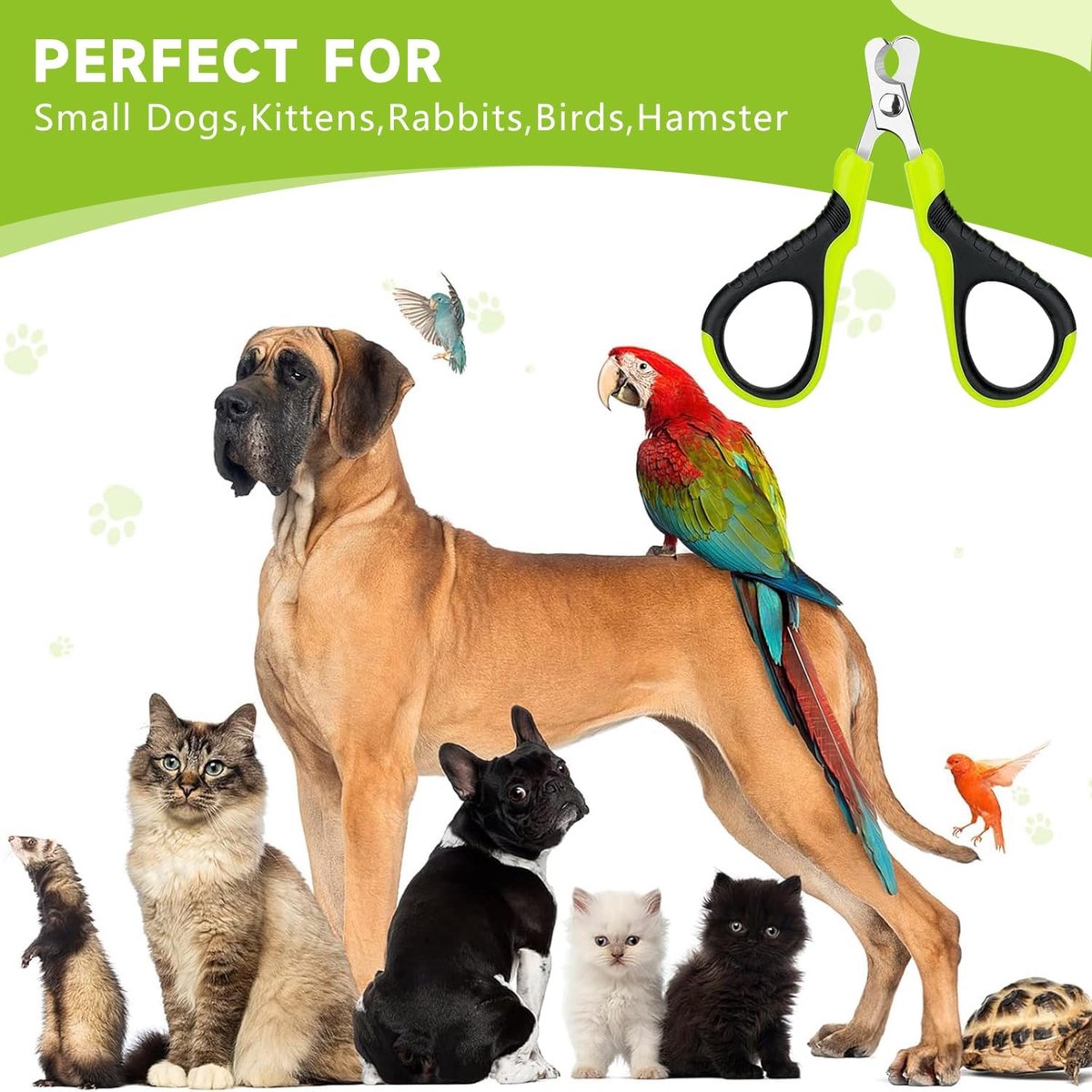 Pet Nail Clippers - Professional Pet Nail Clippers - Scissors - Stainless Steel - Cat Nail Clippers - Suitable for Small Dogs, Puppies, and Cats - Image 3