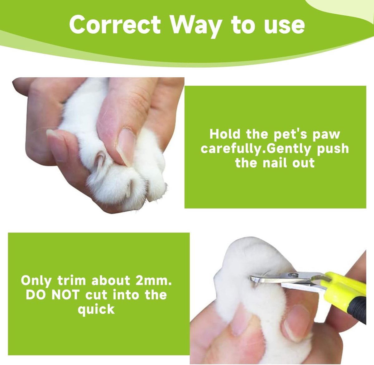 Pet Nail Clippers - Professional Pet Nail Clippers - Scissors - Stainless Steel - Cat Nail Clippers - Suitable for Small Dogs, Puppies, and Cats - Image 4