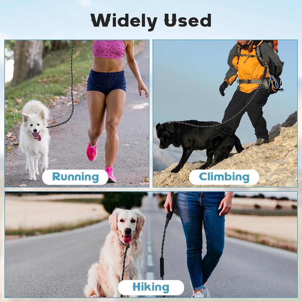 1.8m Long Dog Training Leash - Durable, tension-free polyester dog leash with two padded handles and reflective thread - For small and medium-sized dogs - Black - Image 6