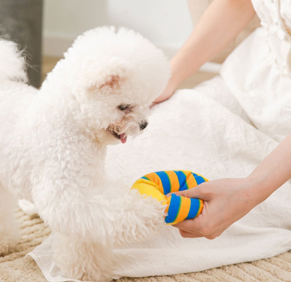 Dog Toys - Dog Cuddly Toy - Slipper Shape - Interactive - Dog Toy - Yellow and Blue Stripes - Image 2