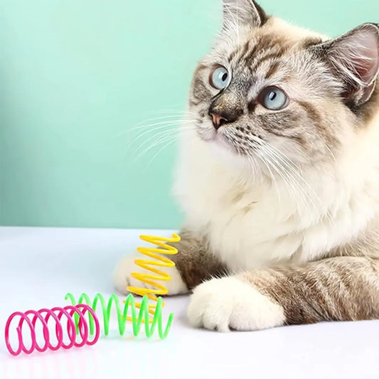Cat Feather Toys - 24 Feather Toys - Cat Feather Toys - Toy Feathers - Pet Novelty Toys - Colorful Feathers - Feathers for Cats - Image 5