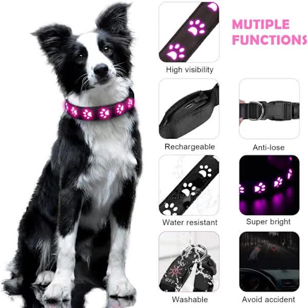 LED Luminous Dog Collar, Rechargeable and Waterproof Dog Collar, Adjustable Collar with 7 Light Modes (Colorful-M) - Image 2