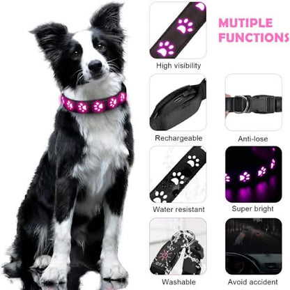 LED Luminous Dog Collar, Rechargeable and Waterproof Dog Collar, Adjustable Collar with 7 Light Modes (Colorful-M) - Image 2