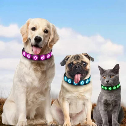LED Luminous Dog Collar, Rechargeable and Waterproof Dog Collar, Adjustable Collar with 7 Light Modes (Colorful-M) - Image 3