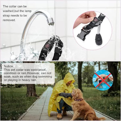 LED Luminous Dog Collar, Rechargeable and Waterproof Dog Collar, Adjustable Collar with 7 Light Modes (Colorful-M) - Image 4