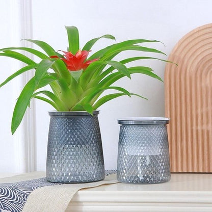 Flower pots - Plastic flower pots - sustainable garden supplies - hydroponic flower pots - visible water level - With absorbent cotton rope - Ø 10 x H 12 cm - Gray - Image 3