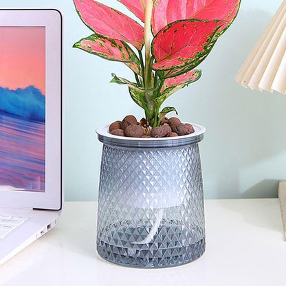 Flower pots - Plastic flower pots - sustainable garden supplies - hydroponic flower pots - visible water level - With absorbent cotton rope - Ø 10 x H 12 cm - Gray - Image 4