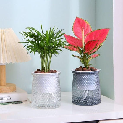 Flower pots - Plastic flower pots - sustainable garden supplies - hydroponic flower pots - visible water level - With absorbent cotton rope - Ø 10 x H 12 cm - Transparent - Image 3