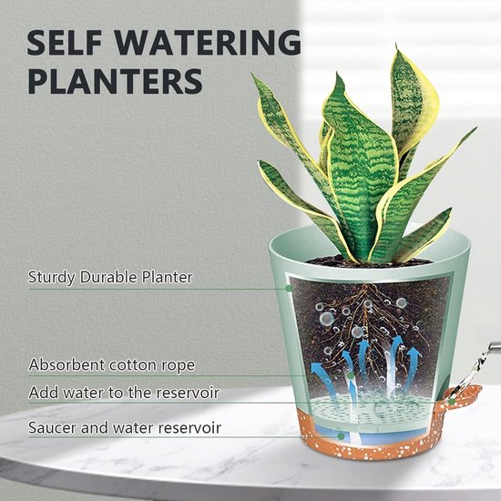 Planters - Self-watering succulents - Set of 6 tabletop planters - Minimalist design - Image 3